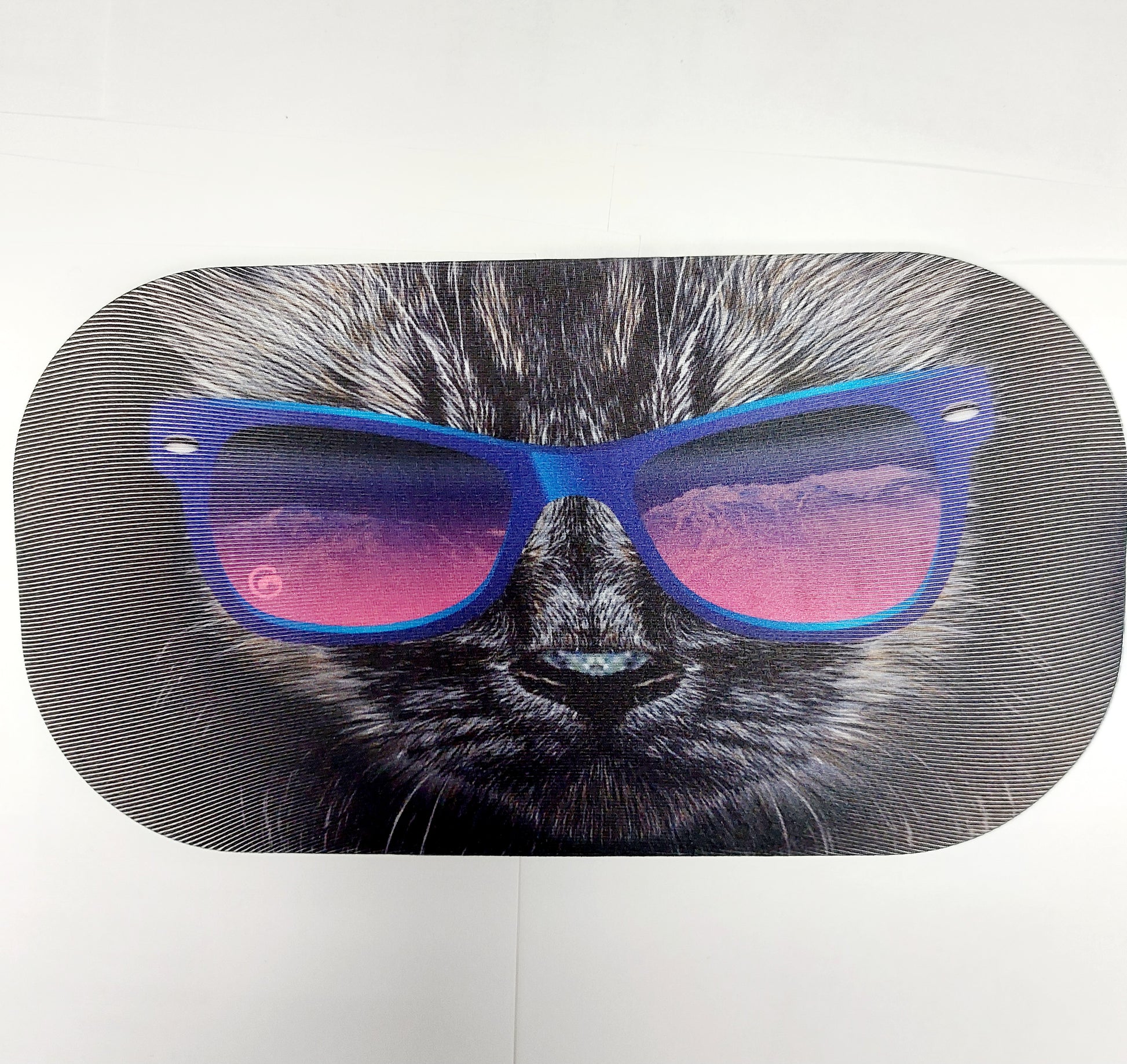 Cat with Sunglasses